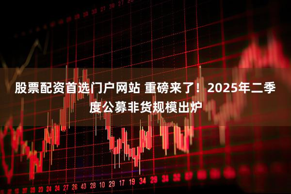 股票配资首选门户网站 重磅来了！2025年二季度公募非货规模出炉